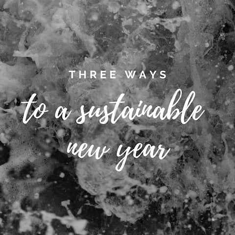 Three Ways to a Sustainable New Year.